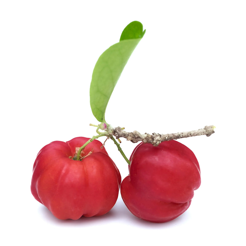 3 CHÊNES Acerola VitC 500, tabletes N24, nuotrauka Nr. 2